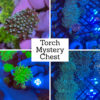 Torch Mystery Chest - 3 Heads