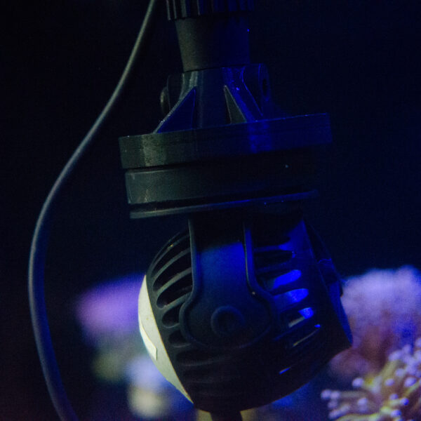 OceanSeaWave Neap - Image 5