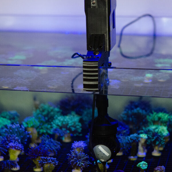 OceanSeaWave Neap - Image 3