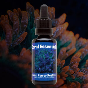 Coral Power Iron 50ml