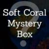 Soft Coral Mystery Box