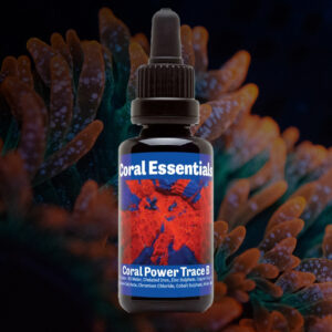 Coral Essentials Coral Power Trace B