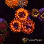 Utter Chaos Zoas