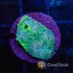 Green Apple Chalice Frag